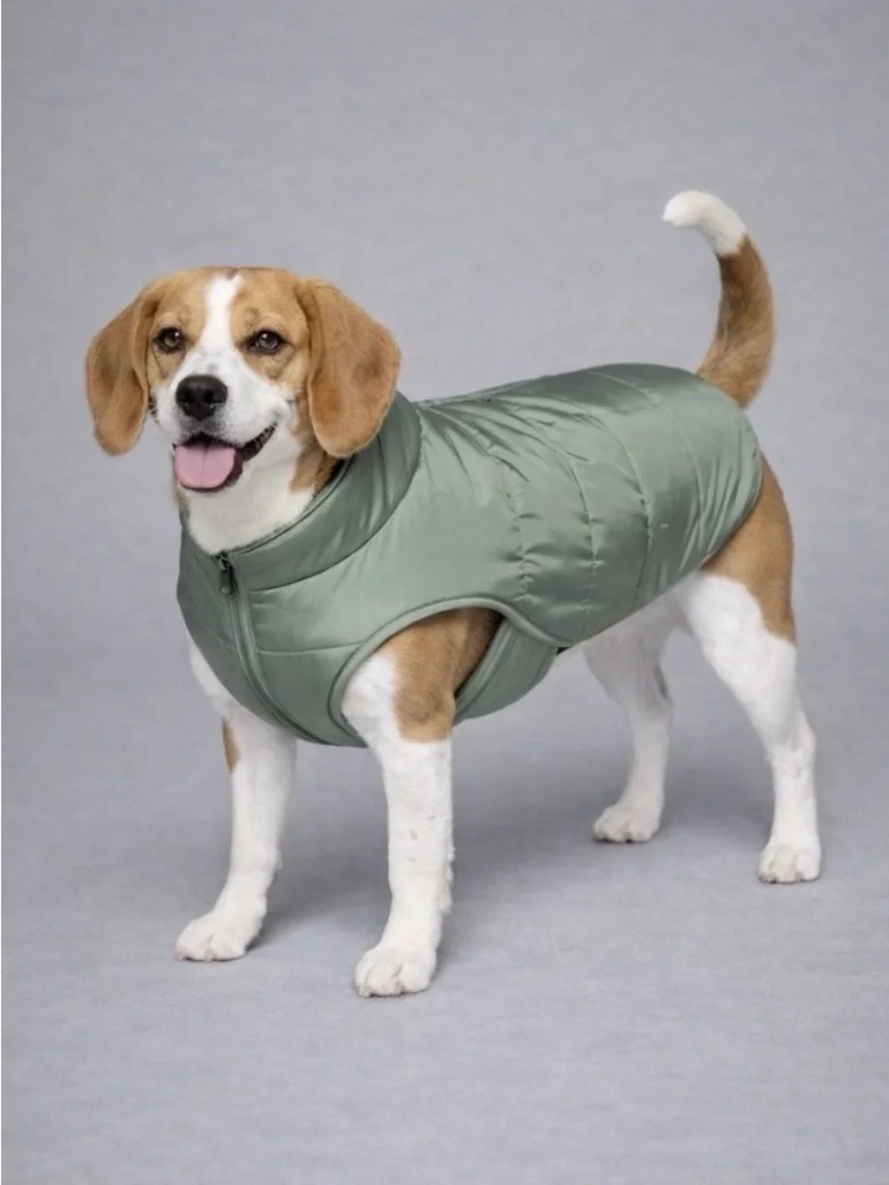 NWT Boots & Barkley Large Light Sage Green Puffer Dog or Cat Jacket